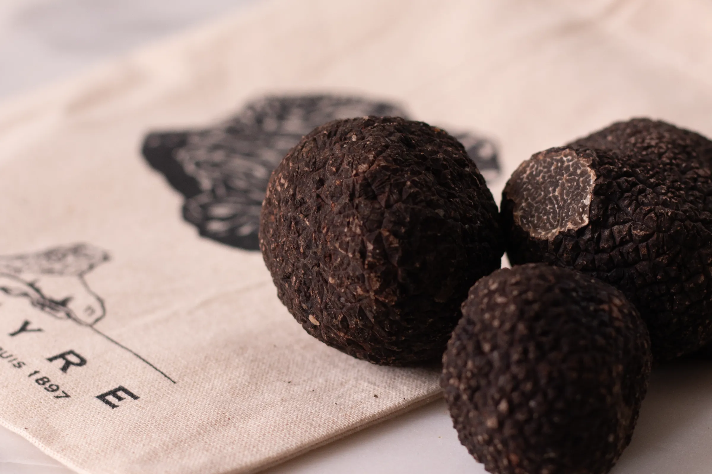 Truffes noires fraîches Maison Pébeyre