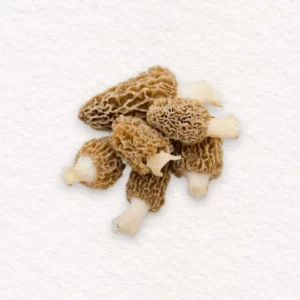 Sachet de morilles séchées sauvages Pébeyre