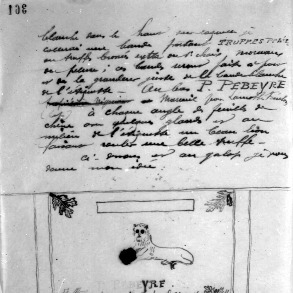 Notes et croquis sur la truffe