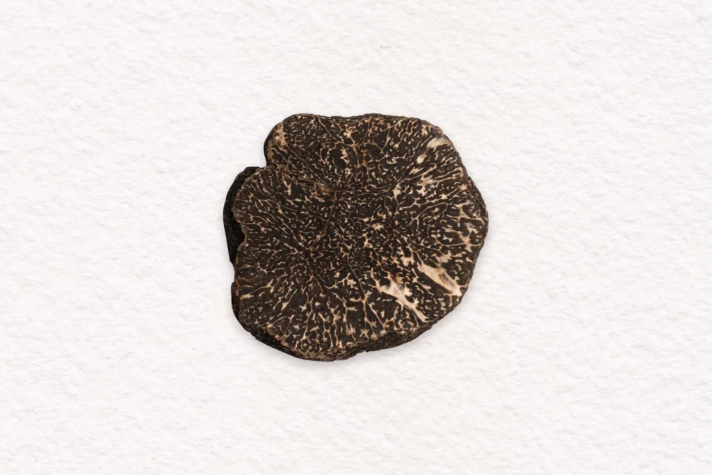 La truffe noire