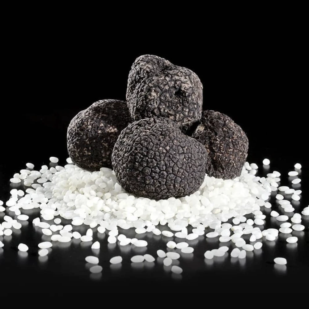 Distinguer les différents types de truffe